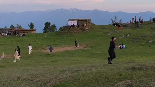 IMG-20250123-WA0037
