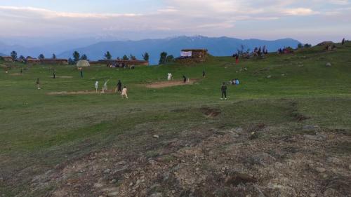 IMG-20250123-WA0044