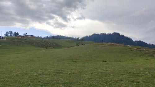 IMG-20250123-WA0046