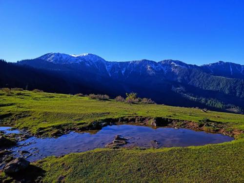 IMG-20250123-WA0059