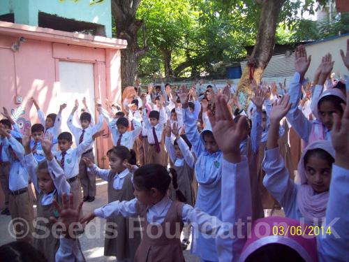 SEEDS SCHOOL PROJECT-2